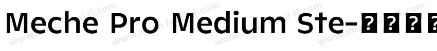 Meche Pro Medium Ste字体转换